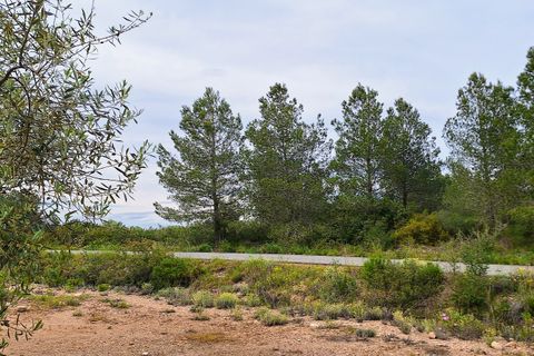 Finca i Ginestar, Tarragona, Ginestar - € 36.000 | Ref: CC827 - foto 13